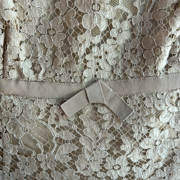 Carlisle matching lace skirt and top set - Picture 4 of 11